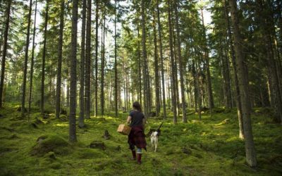 Geïnspireerd door de natuur