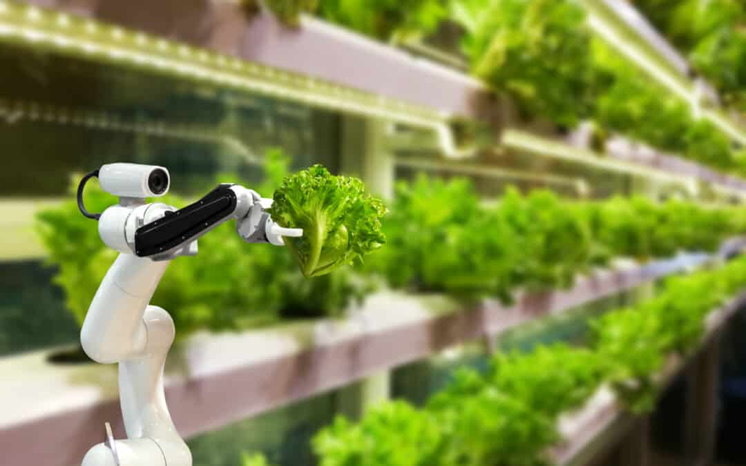 Torenhoge verwachtingen voor verticale landbouw